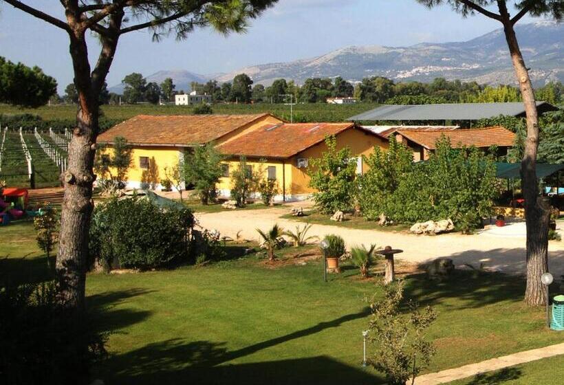 스탠다드 룸, Agriturismo Ali E Radici