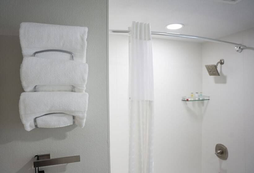 Президентский Люкс, Wyndham Dfw Airport