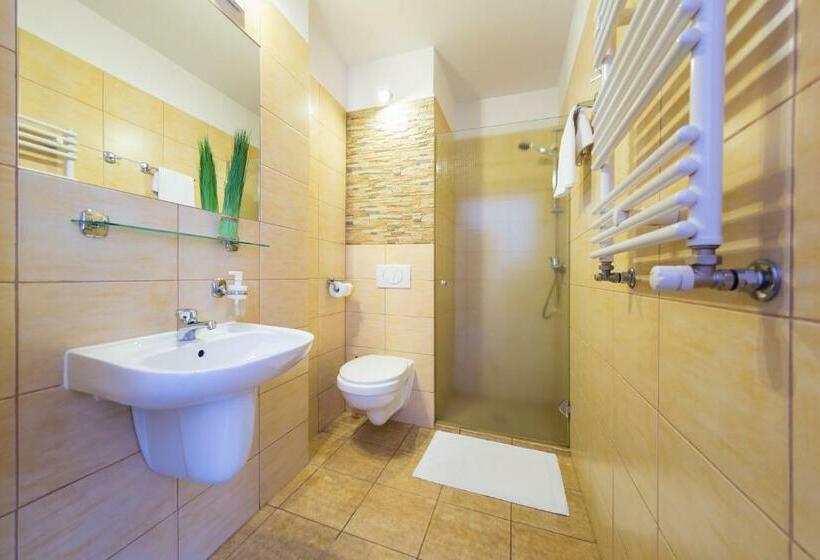 Номер Стандарт, Góral Spa&wellness