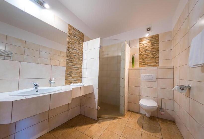 Номер Стандарт Трехместный, Góral Spa&wellness