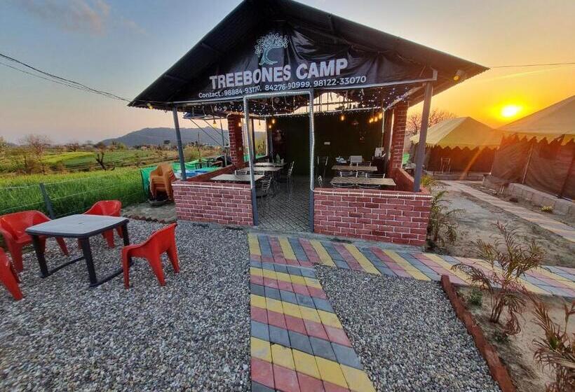 Номер Стандарт Вид на Горы, Tree Bones Camp