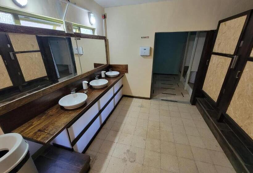 공동 객실, Soluna Female Only Hostel