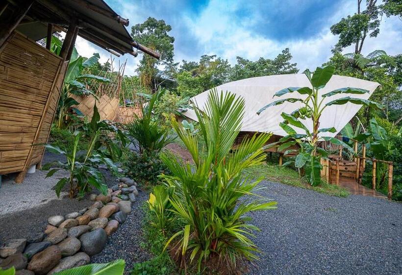 Номер Стандарт с Балконом, Jungle Gayborhood   Lgbtq Boutique Hotel And Retreat
