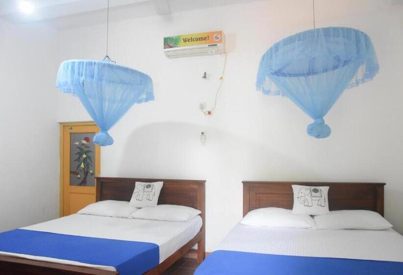 اتاق خانوادگی, Queen Inn Anuradhapura