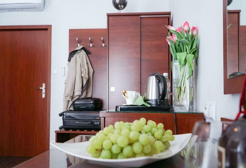 スタンダードルーム, City Center Rooms Piotrkowska 91