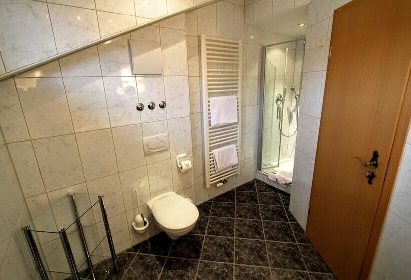 Номер Стандарт с Балконом, Gatterhof