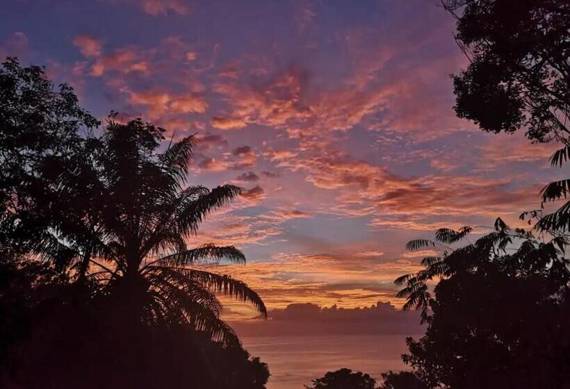 Номер Стандарт Вид на Море, Mizaru   Seaview Central Manuel Antonio