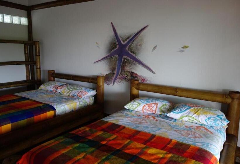 Номер Стандарт, Casa Gaia Mompiche