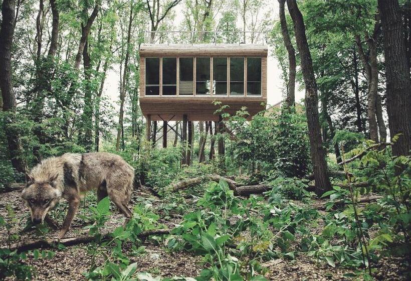 Полулюкс Повышенной Комфортности, Tree Inn   Das Baumhaus