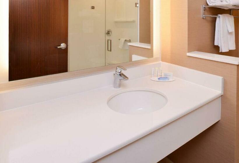 キングサイズベッドのスタンダードルーム, Fairfield Inn & Suites By Marriott Martinsburg