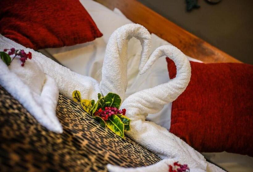 디럭스 스위트, Bocawina Rainforest Resort