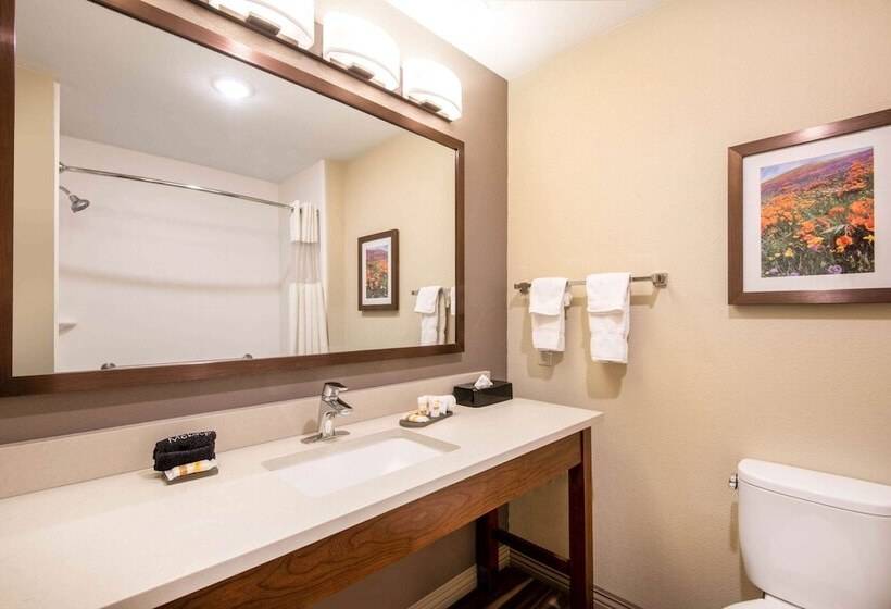 חדר דלוקס מותאם לאנשים עם מוגבלויות, La Quinta By Wyndham Durango