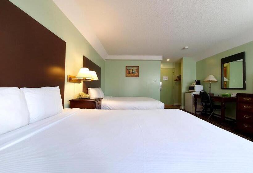 经济房, Cloud 9 Inn
