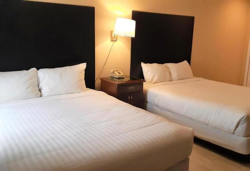 经济房, Cloud 9 Inn