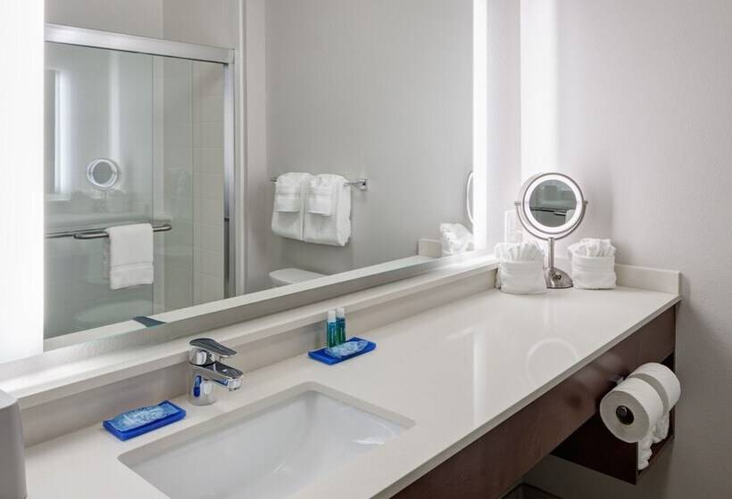 스탠다드 룸, Holiday Inn Express & Suites   Orlando At Seaworld, An Ihg