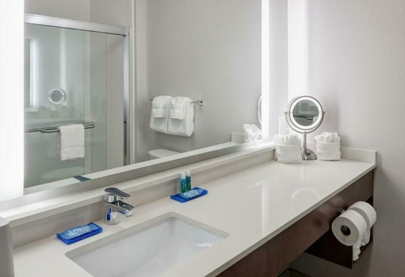 스탠다드 룸, Holiday Inn Express & Suites   Orlando At Seaworld, An Ihg