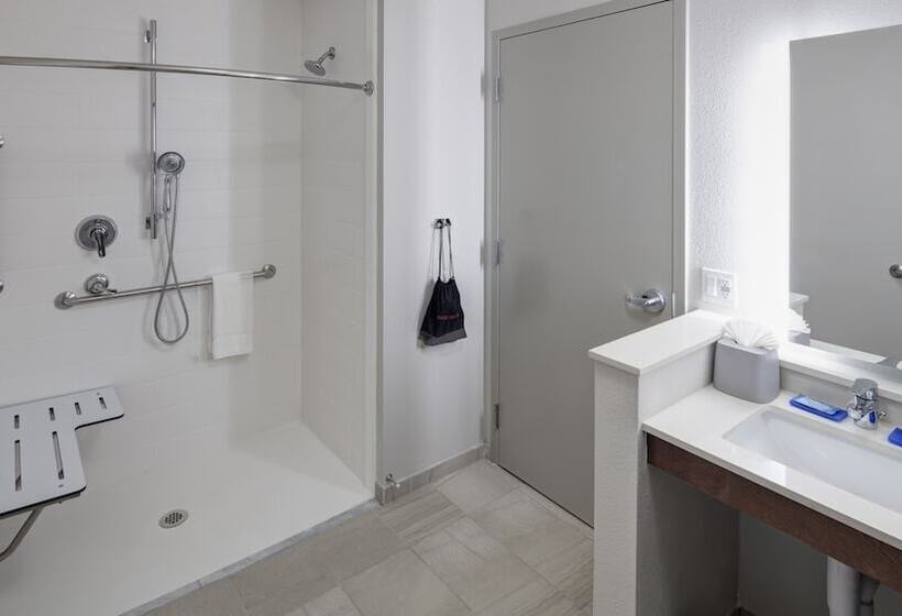 스탠다드 룸, Holiday Inn Express & Suites   Orlando At Seaworld, An Ihg