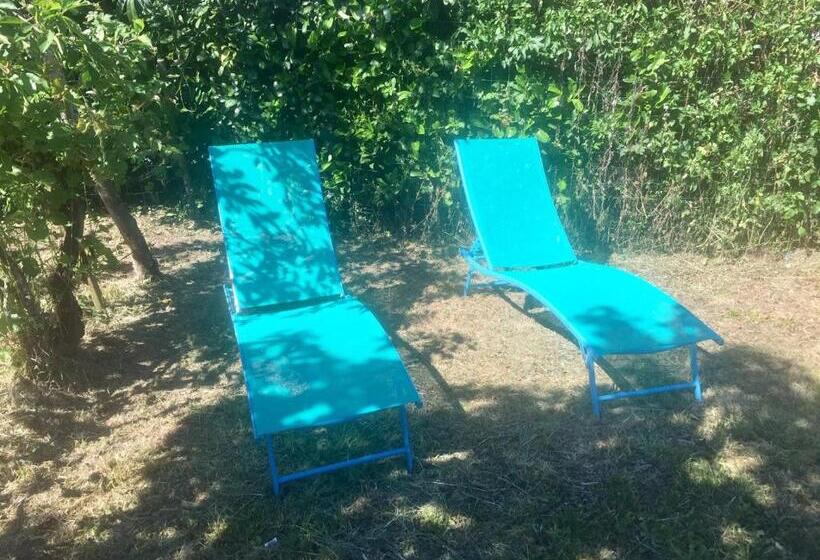 Family Suite, Les Maitres Sonneurs