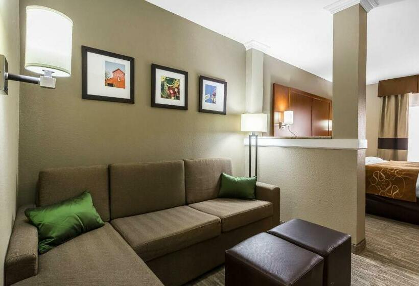Люкс Кровать Кинг, Comfort Suites University