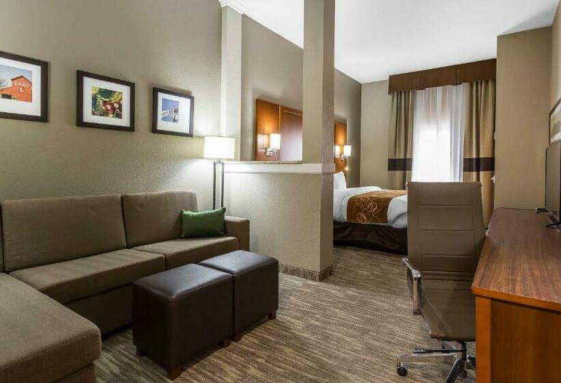 سوئیت با تخت بزرگ, Comfort Suites University