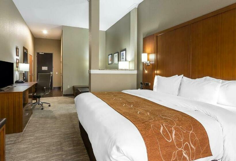سوئیت با تخت بزرگ, Comfort Suites University