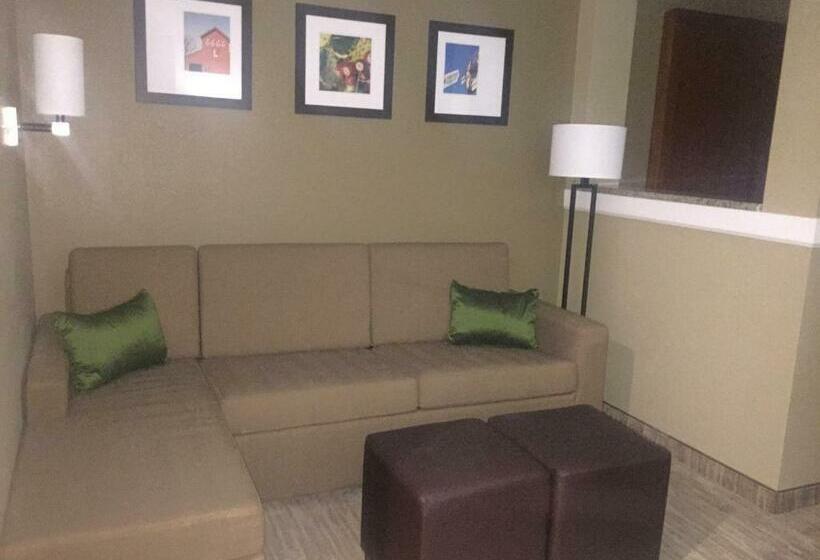 سوییت, Comfort Suites University