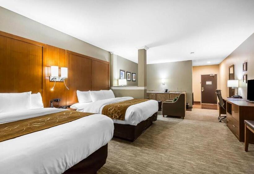 سوئیت برای معلولان, Comfort Suites University