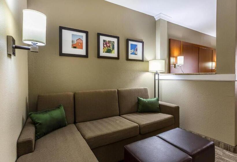 سوئیت برای معلولان, Comfort Suites University