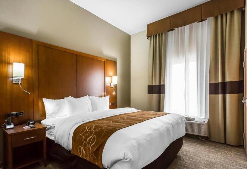 سوئیت برای معلولان, Comfort Suites University