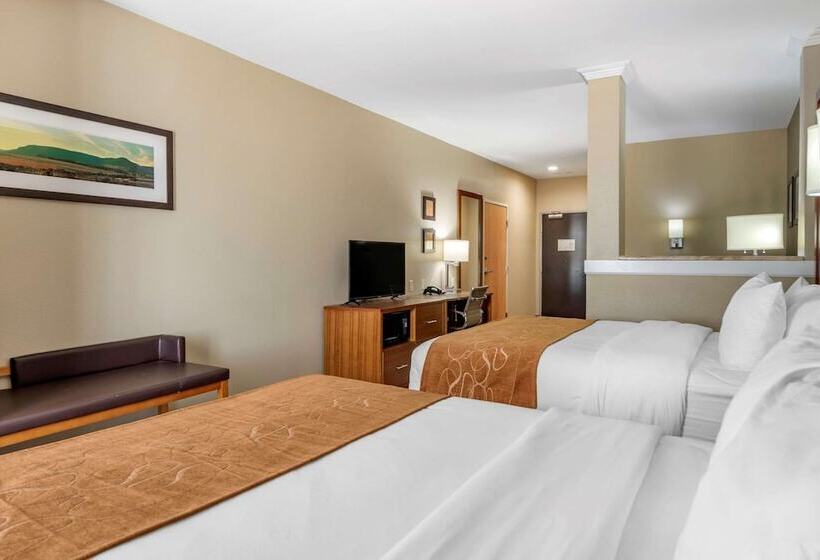 سوییت, Comfort Suites University