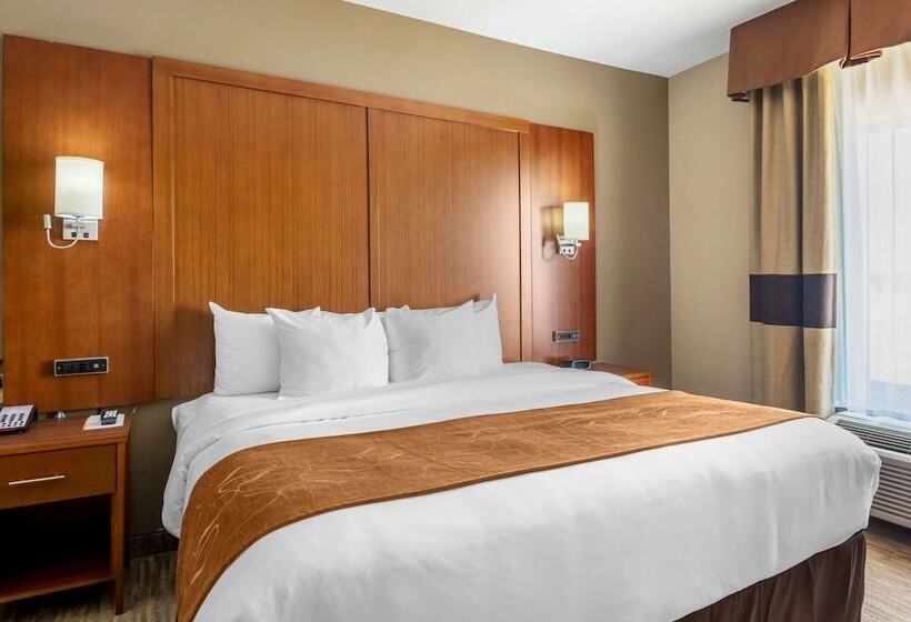 سوئیت برای معلولان, Comfort Suites University
