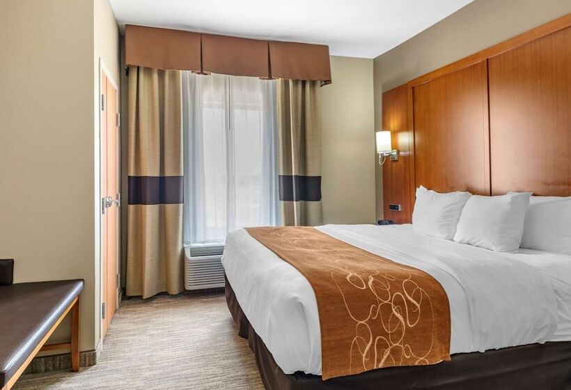 سوئیت برای معلولان, Comfort Suites University