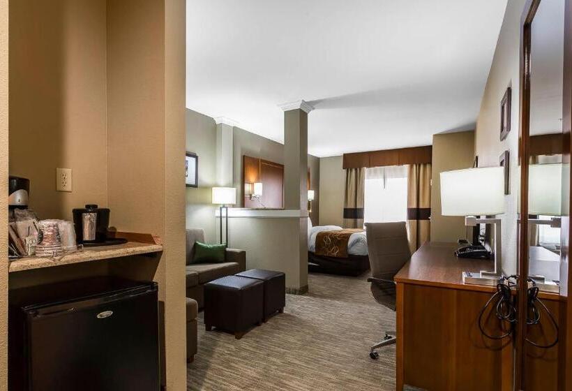 سوئیت برای معلولان, Comfort Suites University