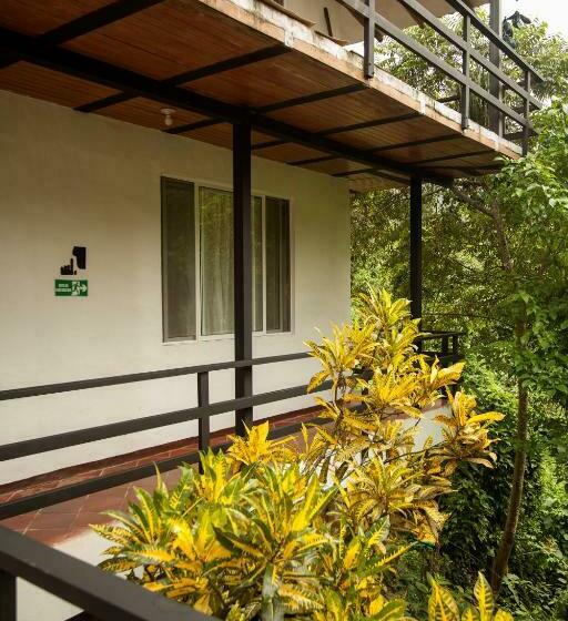 标准间, La Selva Reserva