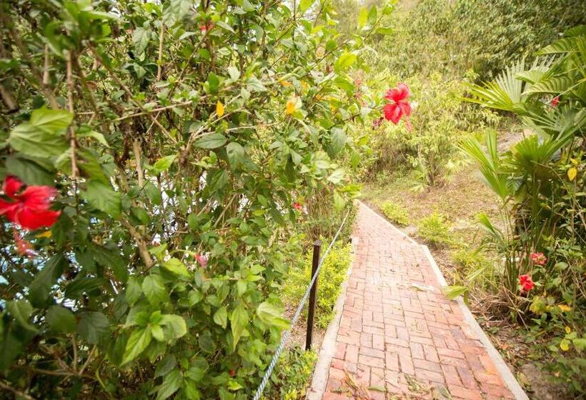 家庭山景房, La Selva Reserva