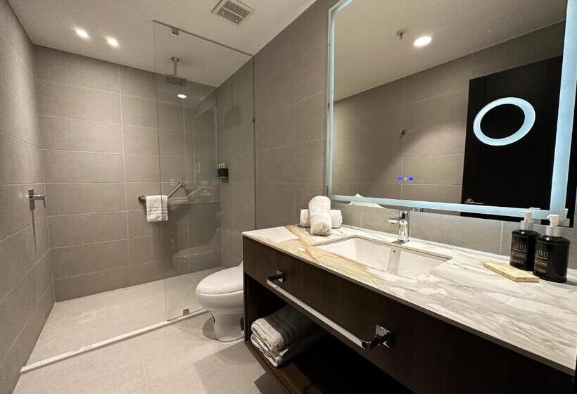 스탠다드 룸 킹사이즈 침대, Wyndham Quito Airport