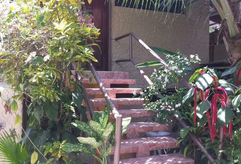 Quarto Quádruplo Estandar, Coyaba Tropical Elegant Adult Guesthouse