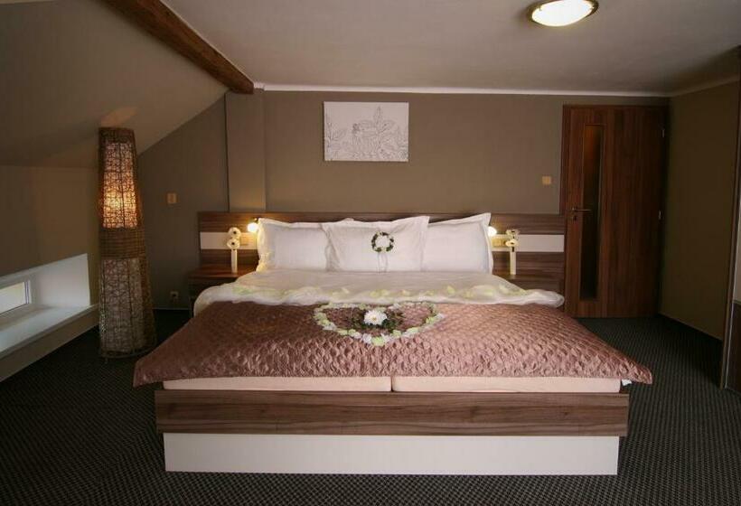 豪华三人间, Wellness Hotel Kocanda