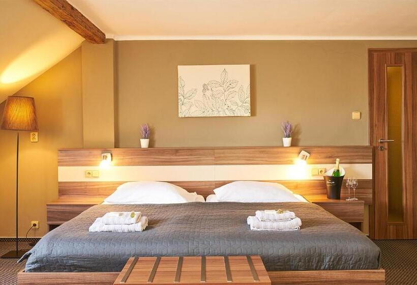 豪华三人间, Wellness Hotel Kocanda