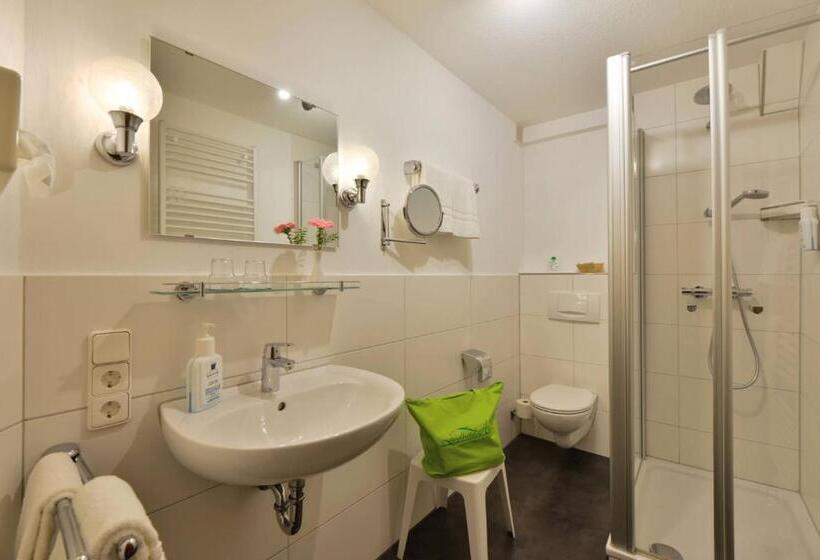 Номер Стандарт с Балконом, Landhotel Albers