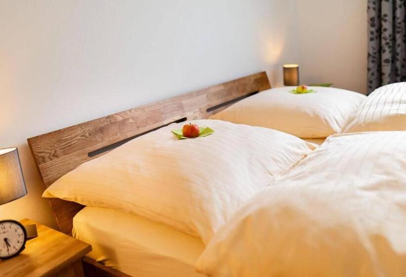 شقة غرفة واحدة مزودة بتراس, Landhotel Albers