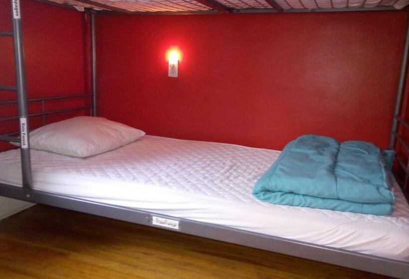 Кровать в Общей Комнате, Ottawa Backpackers Inn