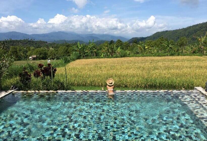 Бунгало Стандарт 3 Спальни, Sanak Retreat Bali