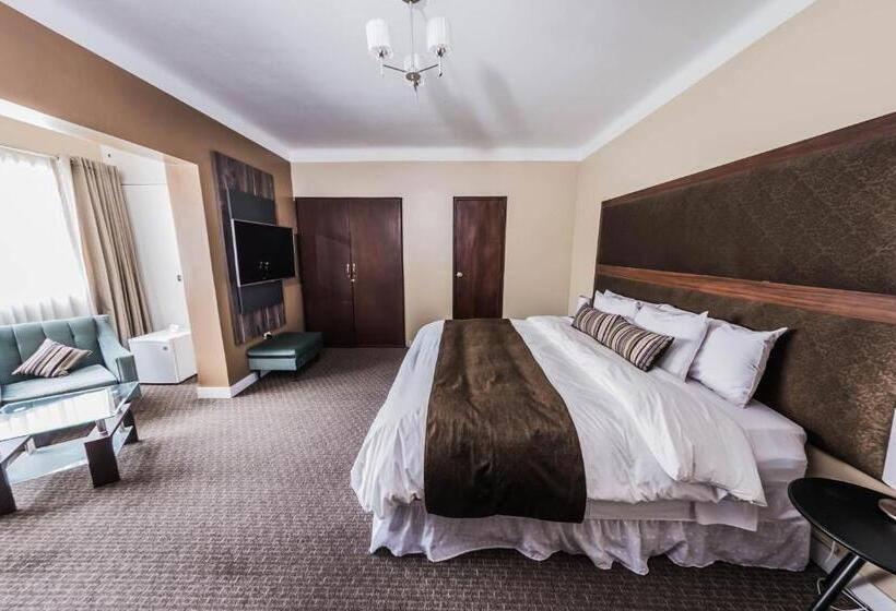 수피리어 싱글 룸, Los Leones Hotel Boutique
