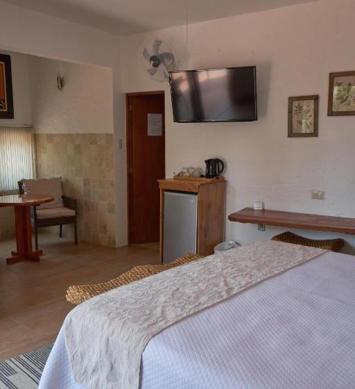 Люкс с Террасой, El Molino Hotel Y Restaurant