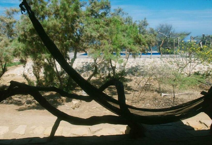 스탠다드 방갈로, Grillo Tres Puntas Eco Hostel