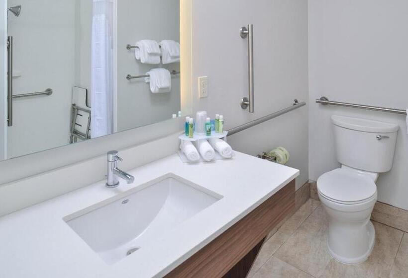 장애인을 위한 스탠다드 룸, Holiday Inn Express & Suites   Brighton South   Us 23, An Ihg