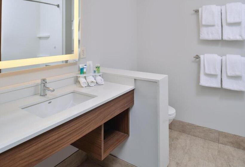 장애인을 위한 스탠다드 룸, Holiday Inn Express & Suites   Brighton South   Us 23, An Ihg