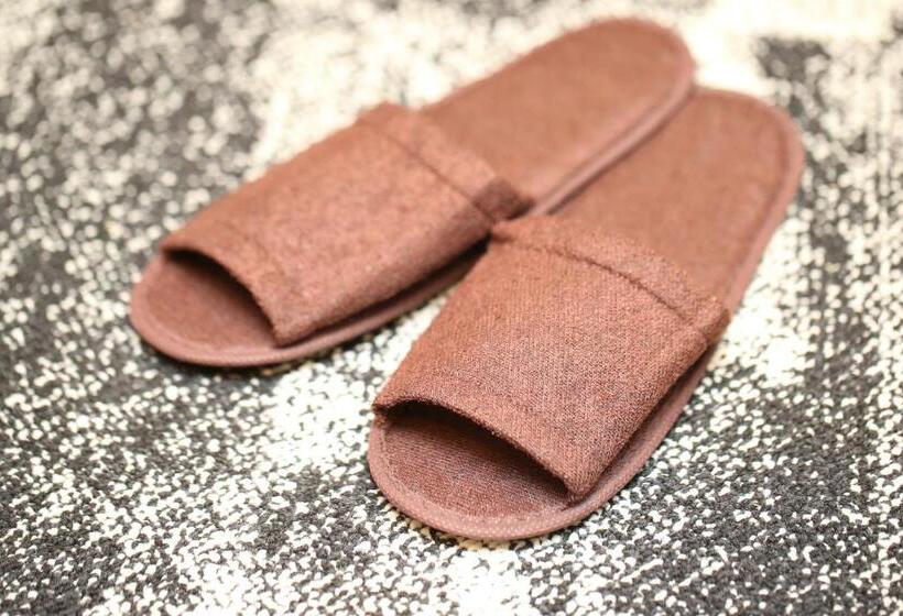 Номер Стандартный с Видом, Wing International Select Asakusa Komagata