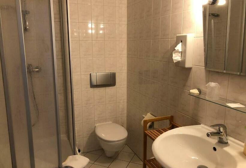 Номер Стандарт Индивидуальный, Kastanienhof Hotel Garni